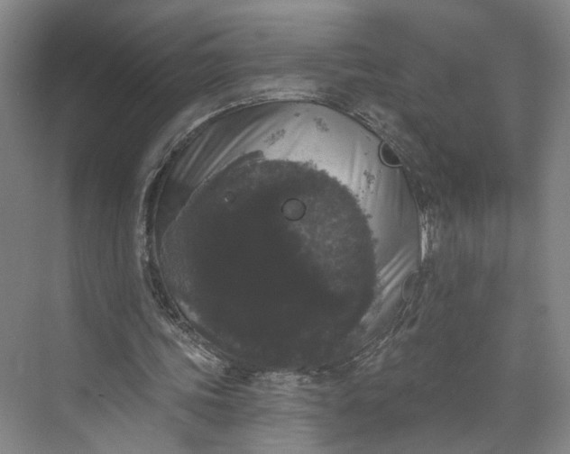 X0000072920339200608041156