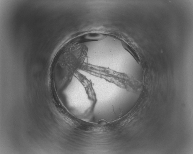 X0000072920344200608041156