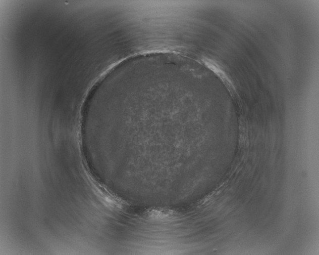 X0000072920346200608041156