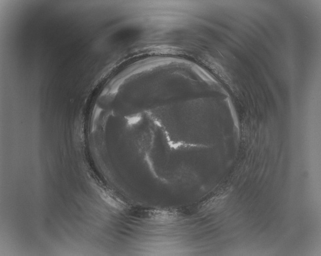 X0000072920347200608041156