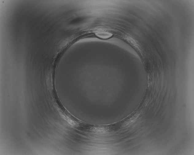 X0000072920349200608041156