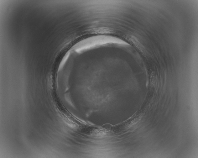 X0000072920351200608041156