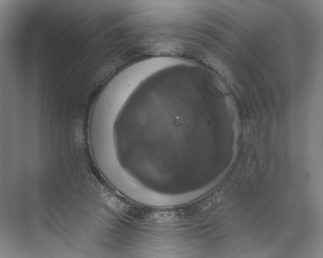 X0000072920353200608041156