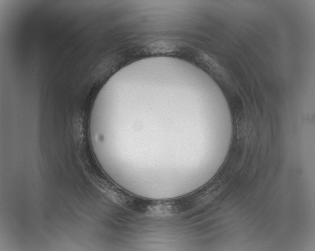 X0000072920362200608041156