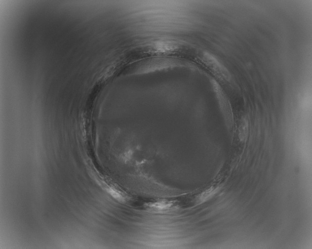 X0000072920366200608041156