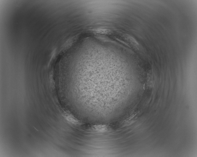 X0000072920377200608041156