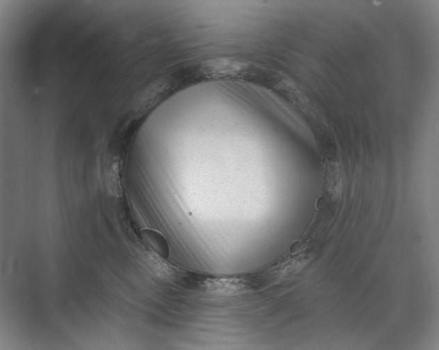X0000072920378200608041156