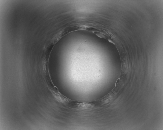 X0000072920379200608041156