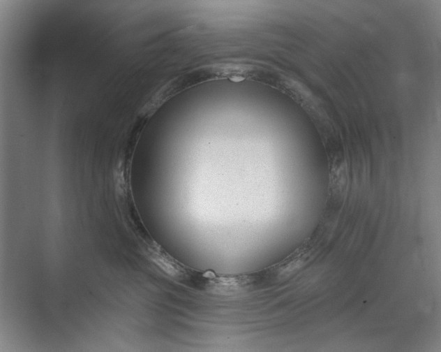 X0000072920381200608041156