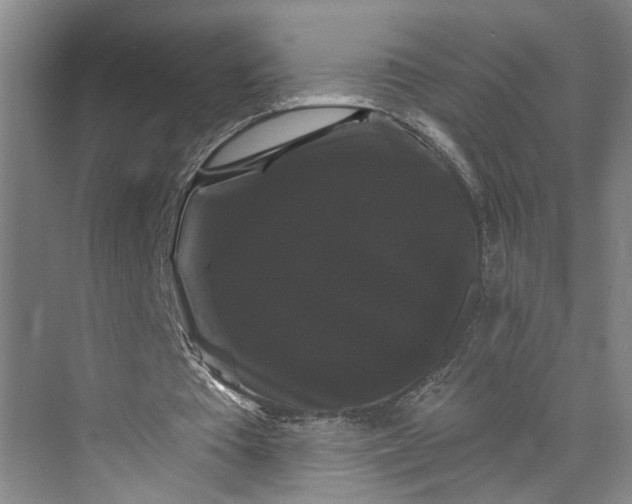 X0000072920385200608041155