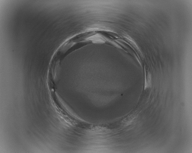 X0000072920387200608041155