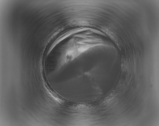 X0000072920390200608041155
