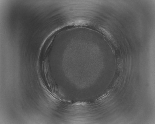 X0000072920392200608041155