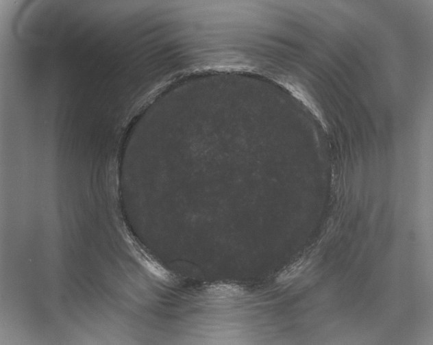 X0000072920397200608041155