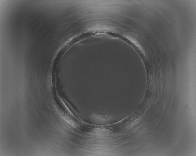 X0000072920399200608041155