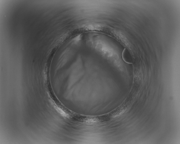 X0000072920402200608041155