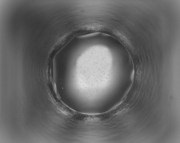 X0000072920403200608041155