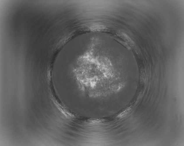 X0000072920405200608041155