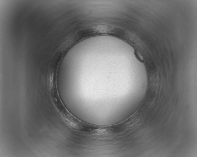 X0000072920406200608041155