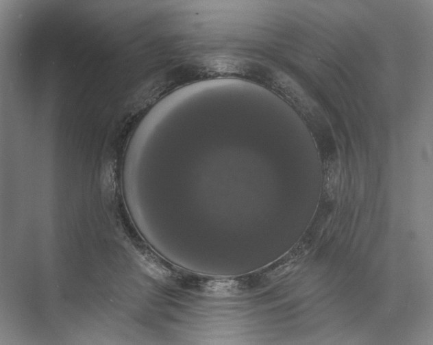 X0000072920410200608041155