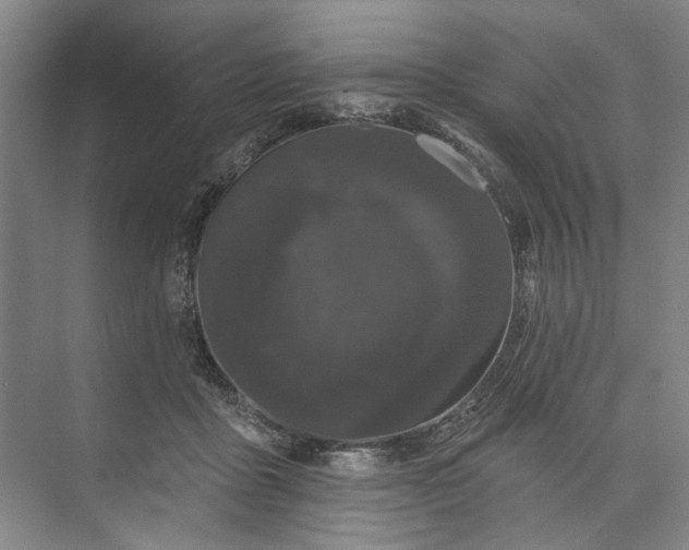 X0000072920411200608041155