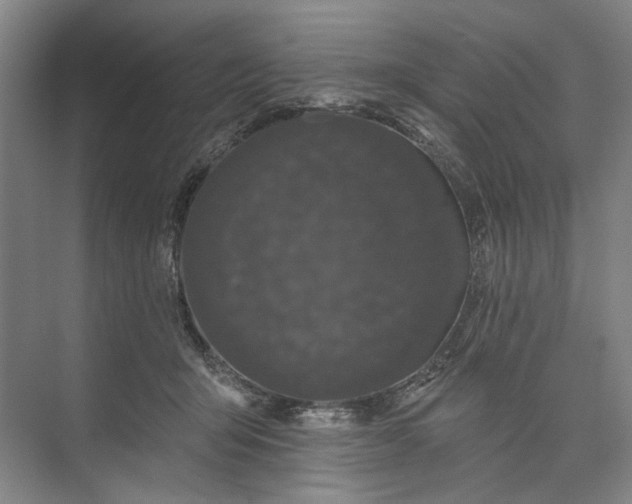 X0000072920415200608041155