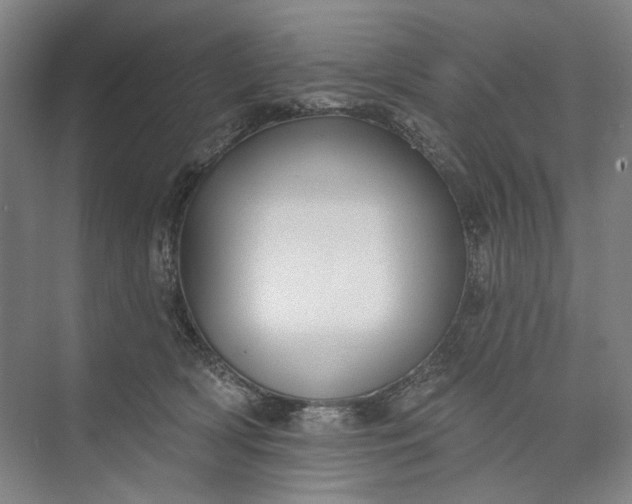 X0000072920418200608041155