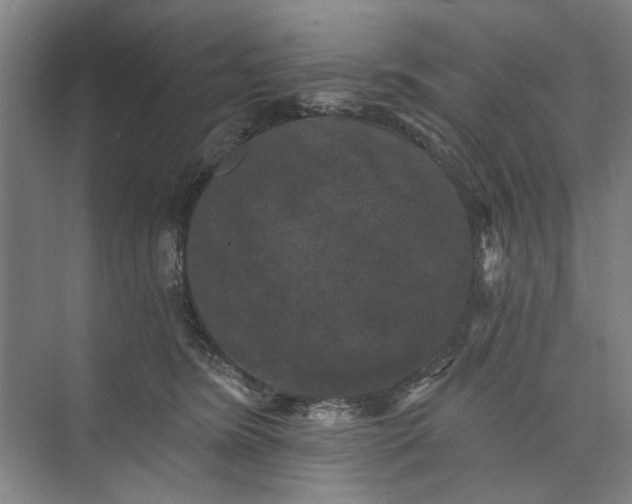 X0000072920420200608041155