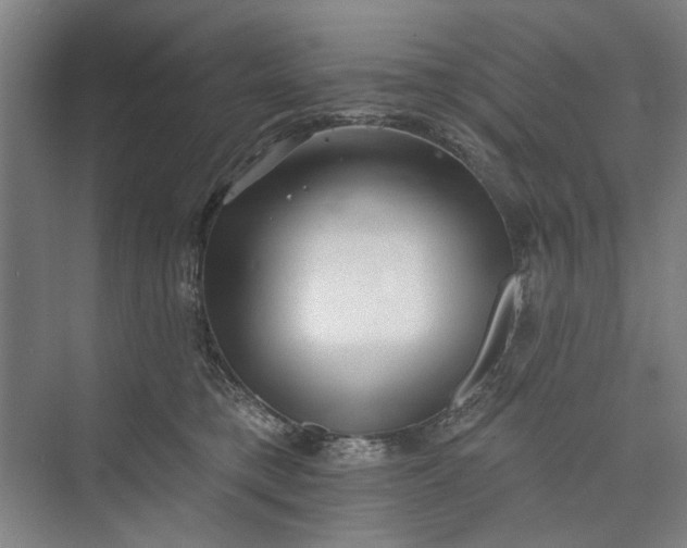 X0000072920421200608041155