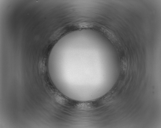X0000072920422200608041155