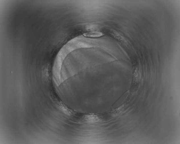 X0000072920424200608041155