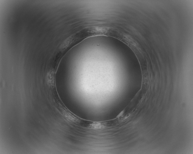 X0000072920425200608041155