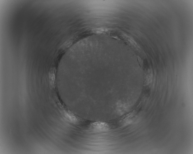 X0000072920427200608041155