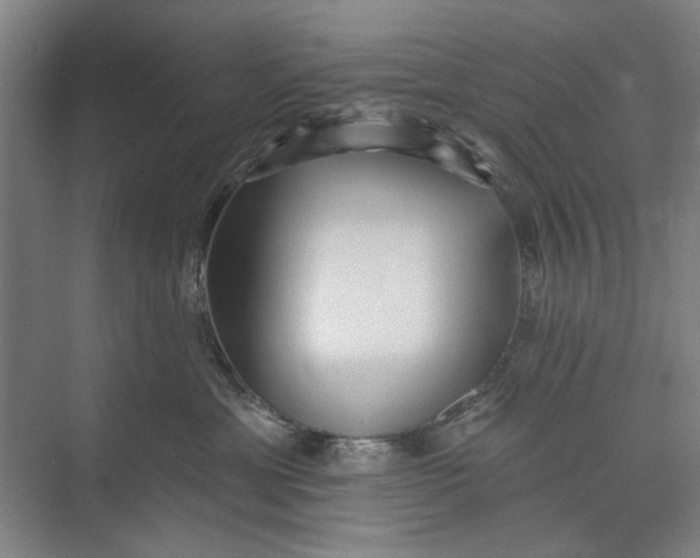 X0000072920429200608041155