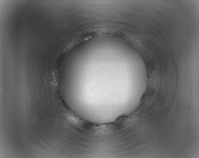 X0000072920430200608041155