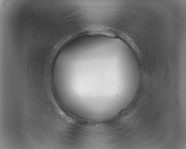 X0000072920433200608041154