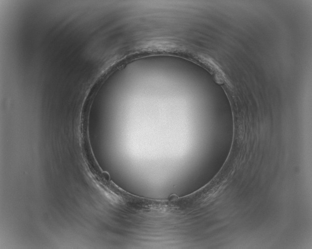 X0000072920439200608041154