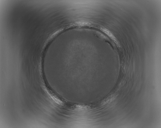X0000072920442200608041154