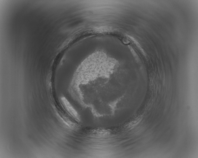 X0000072920443200608041154