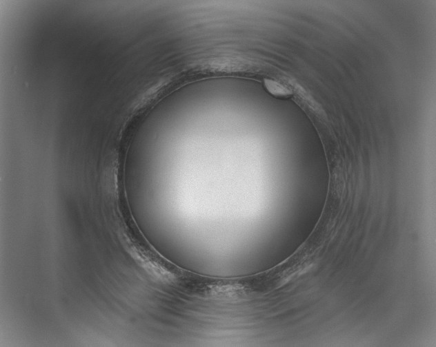 X0000072920446200608041154