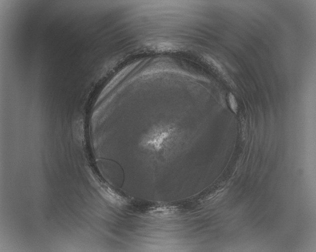 X0000072920447200608041154