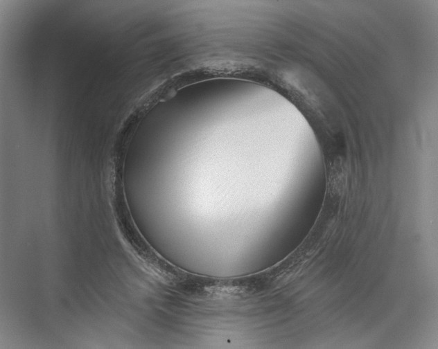 X0000072920448200608041154