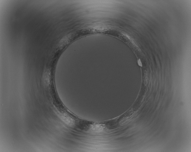 X0000072920451200608041154