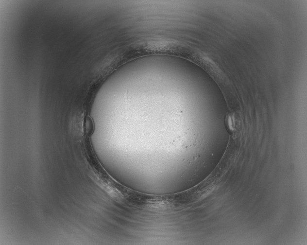 X0000072920454200608041154