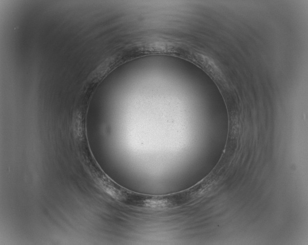 X0000072920457200608041154