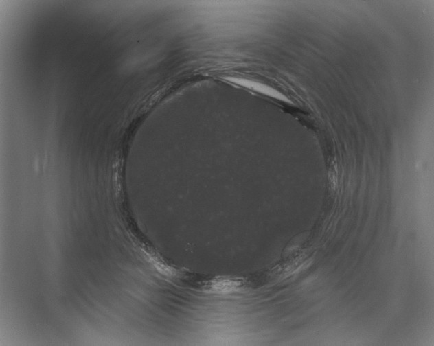 X0000072920462200608041154
