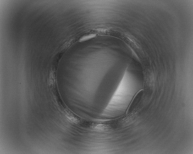 X0000072920467200608041154