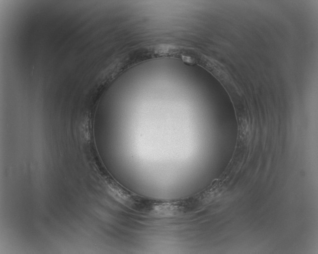 X0000072920470200608041155