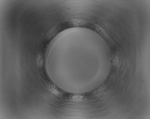 X0000072920471200608041155