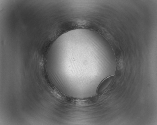 X0000072920472200608041155